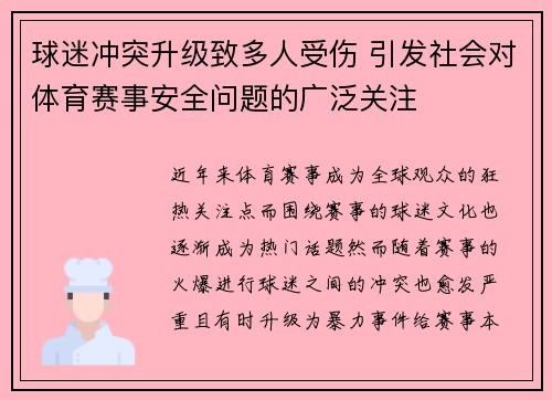 球迷冲突升级致多人受伤 引发社会对体育赛事安全问题的广泛关注
